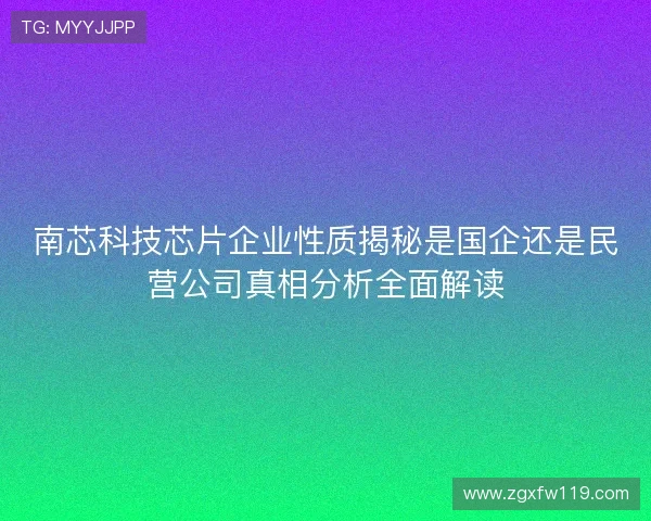 南芯科技芯片企业性质揭秘是国企还是民营公司真相分析全面解读 南芯科技芯片企业性质揭秘是国企还是民营公司真相分析全面解读